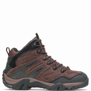 Botas de Montaña Wolverine Wilderness Hombre Marrones | HZQ806LA