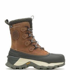 Botas de Trabajo Wolverine Glacier Surge Arctic Insulated Hombre Marrones | XJU5791WG