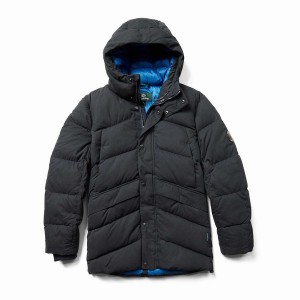 Chaquetas Wolverine Frost Down Parka Hombre Azul Marino Oscuro | BMP5821EE