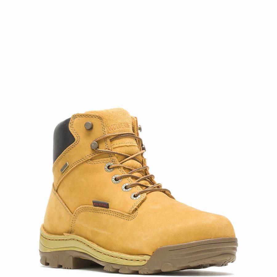 Botas de Trabajo Wolverine Dublin Waterproof Insulated 6