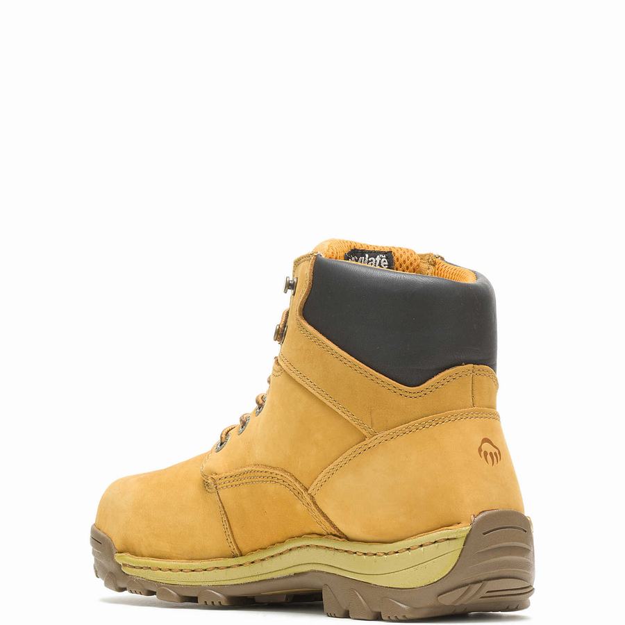 Botas de Trabajo Wolverine Dublin Waterproof Insulated 6